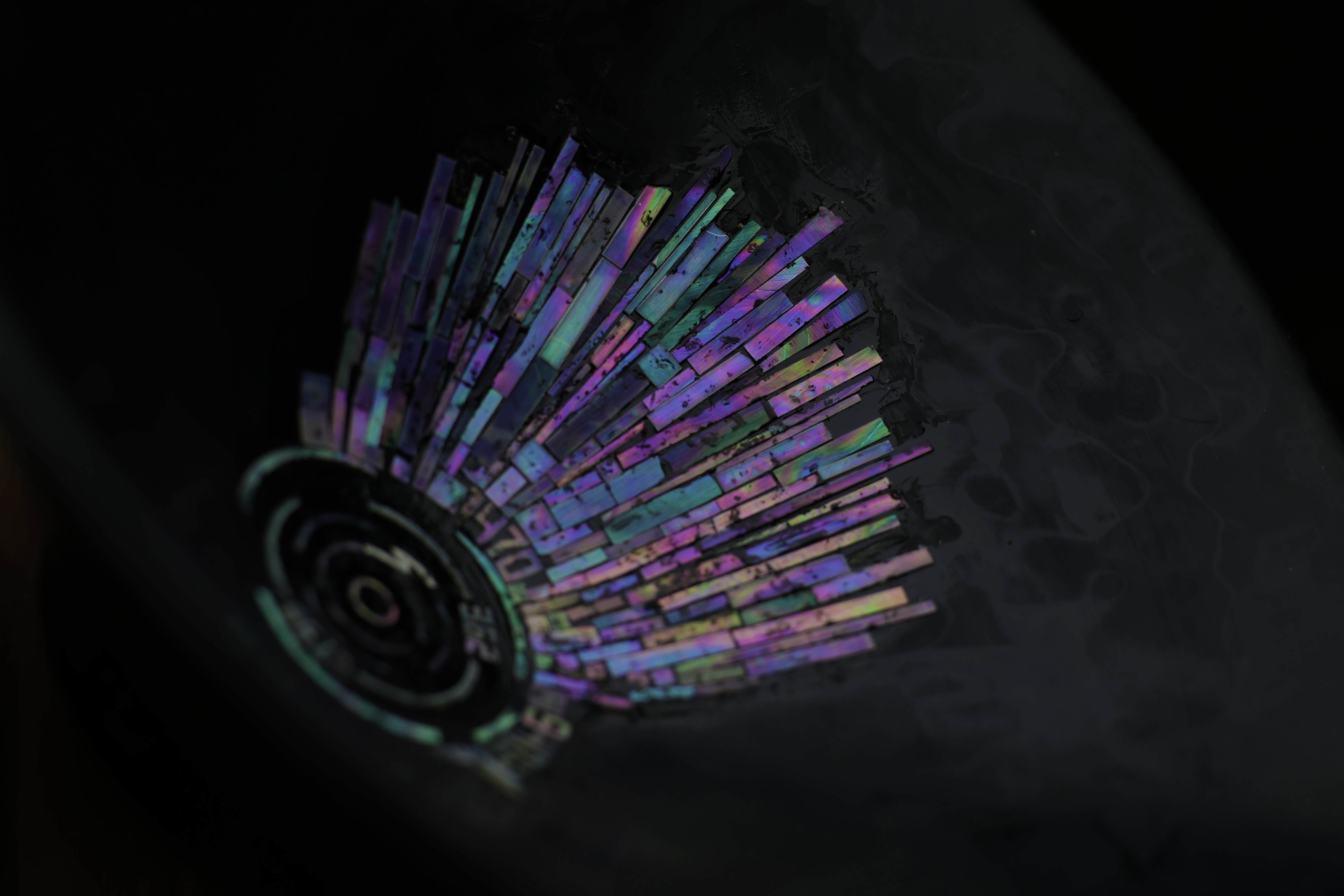 Raden fan form — full view